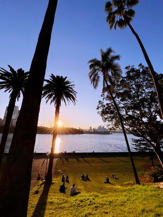 Royal Botanic Garden Sydney — My Favourite Green Escape with a Harbour View!