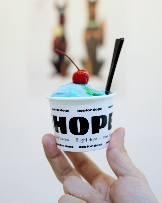 DOBY HOPE: คาเฟ่ไอศกรีมโฮมเมดสไตล์ชิคสุดคูล 🍦