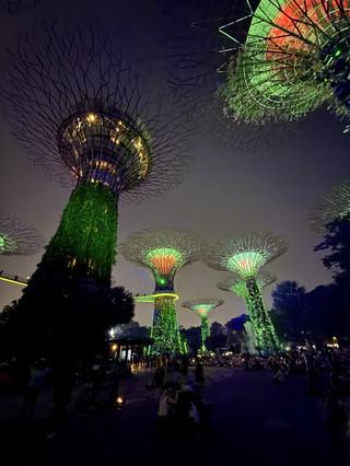 A Symphony of Light Beneath the Supertrees