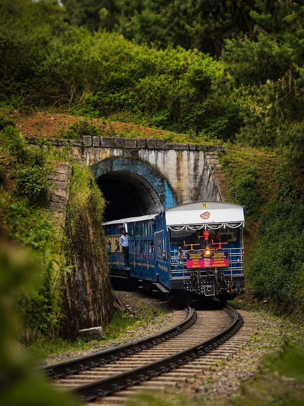 🚂 Nilgiris: 4-day itinerary