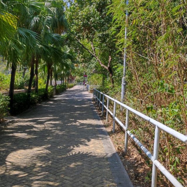 大嶼山深度遊 驚喜處處