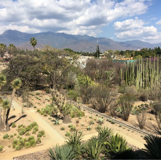 This is the one must-see museum in Oaxaca 