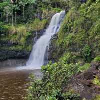 Hiking around The Inn at Kulaniapia Falls
