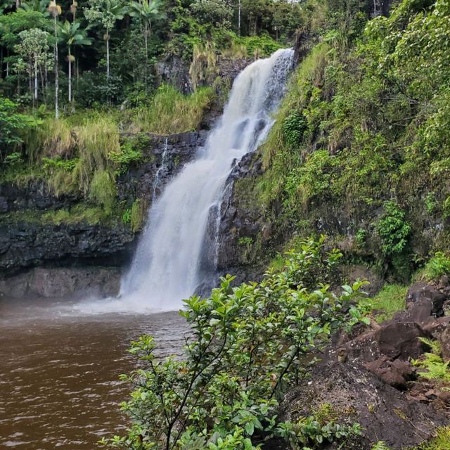 Hiking around The Inn at Kulaniapia Falls