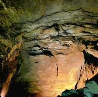 Experience one of the largest natural cave entrances in the Eastern U.S. 