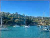 Waiheke Island - New Zealand 🇳🇿 