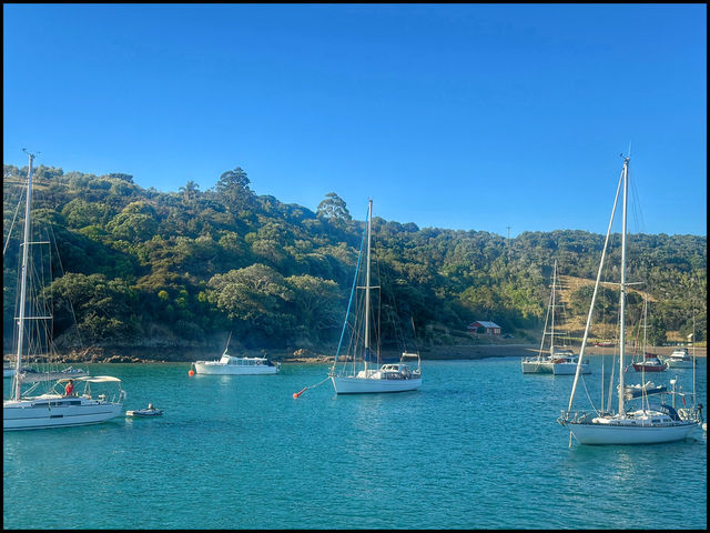 Waiheke Island - New Zealand 🇳🇿 