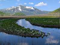 Oze National Park (尾瀬国立公園) – Gunma/Fukushima