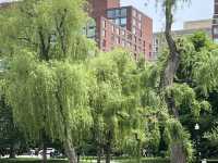 Strolling Through Boston Public Garden & Common: City Views and Historic Vibes 🌳🏙️