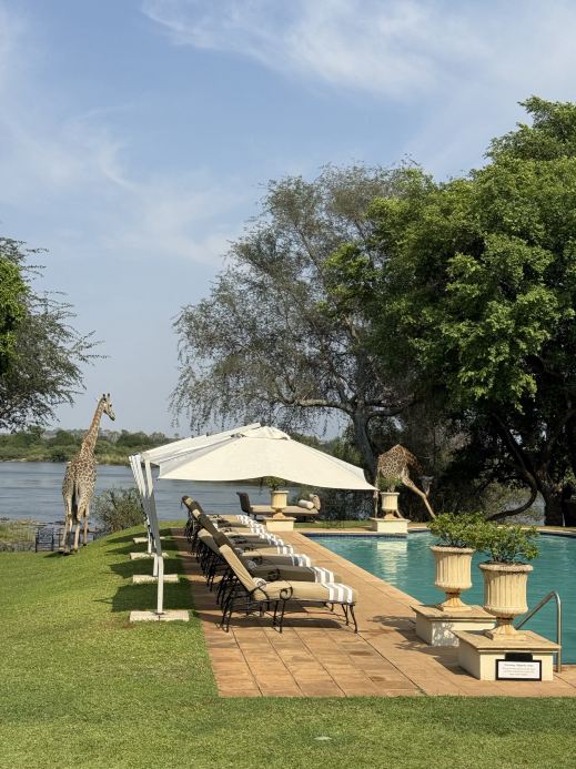 Don’t know where to stay in Zambia? Look no more… 💗