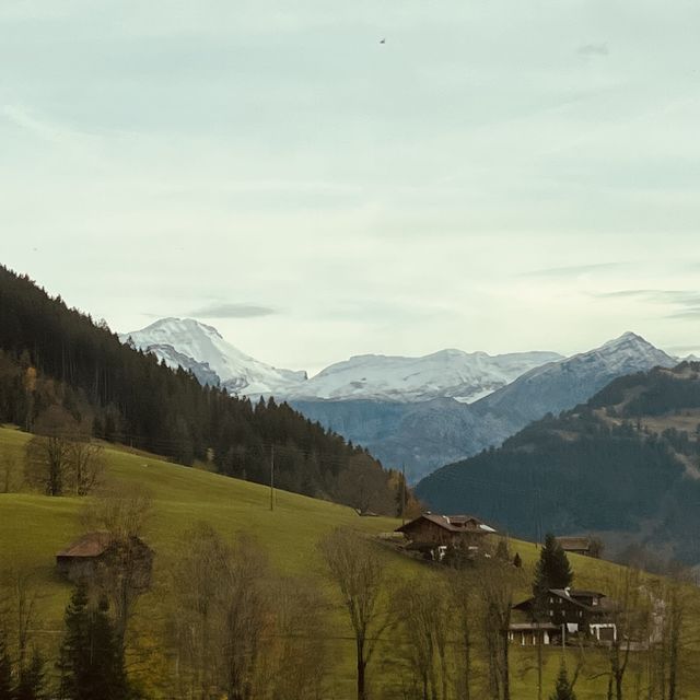 Goldenpass Belle Epoque in Switzerland🇨🇭😍