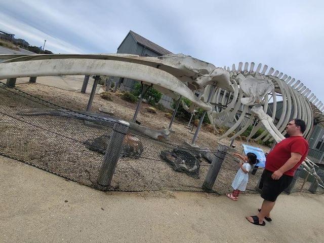 Seymour Marine Discovery Center 🇺🇸