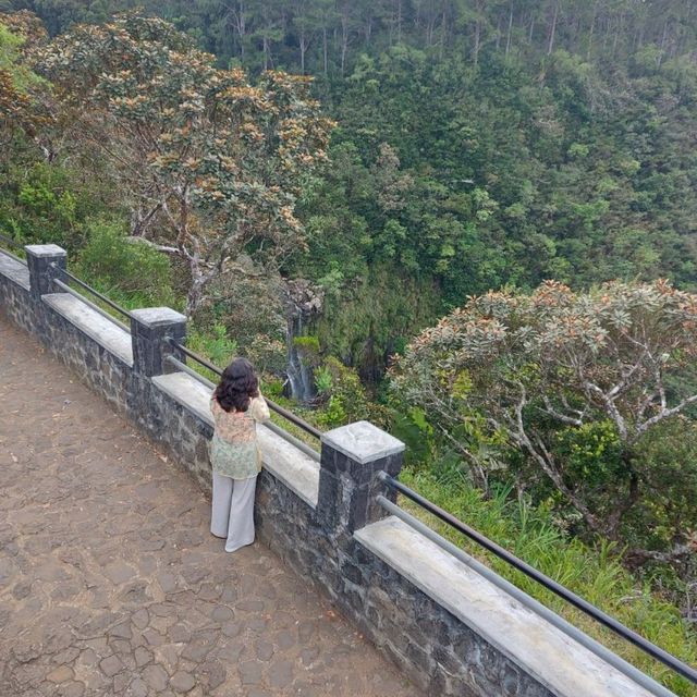 Amazing view from Alexandra Falls Viewpoint!