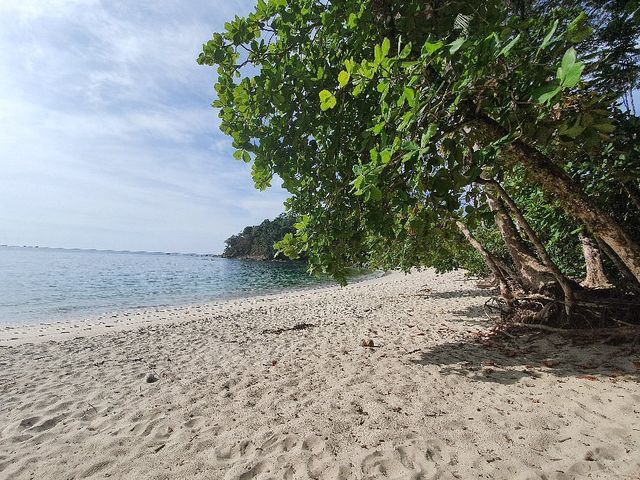 Serene Beach Bliss