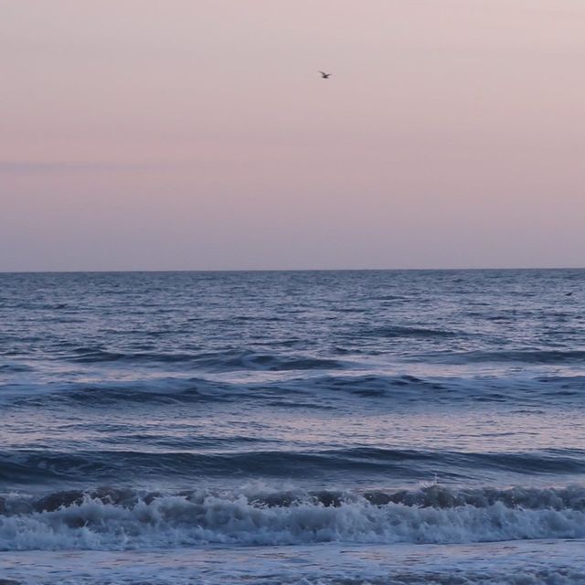 Visiting Bournemouth in winter 