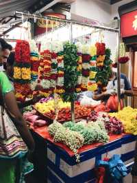 Singapore: The Lion City's Roar