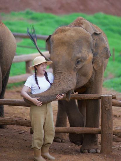 🐘코끼리랑 교감할 수 있는 치앙마이카페 🏡