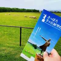 🐑羊之丘展望台🐑山頂觀景台看綿羊🐏品嚐鮮羊奶