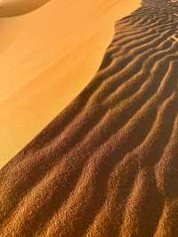 🏜️ Exploring the Merzouga Desert 