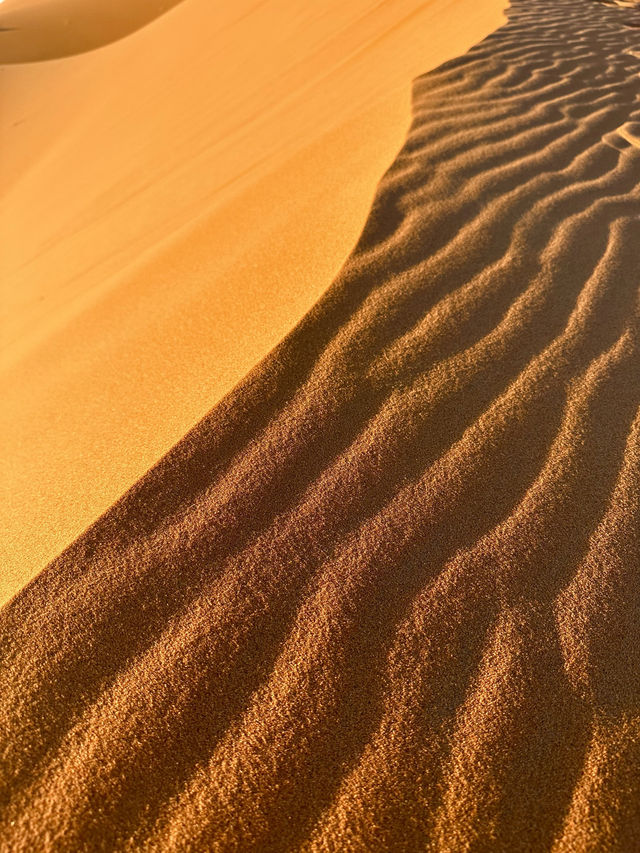 🏜️ Exploring the Merzouga Desert 