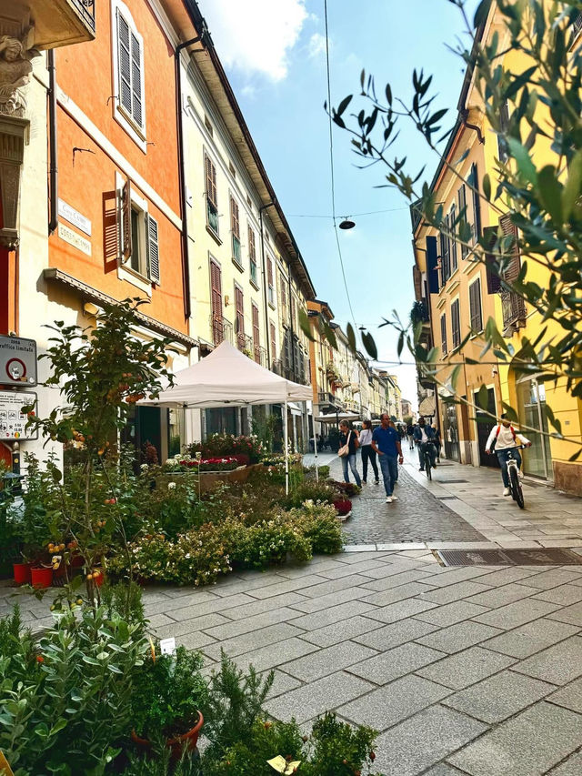 Cremona city exploring Italy 🇮🇹 