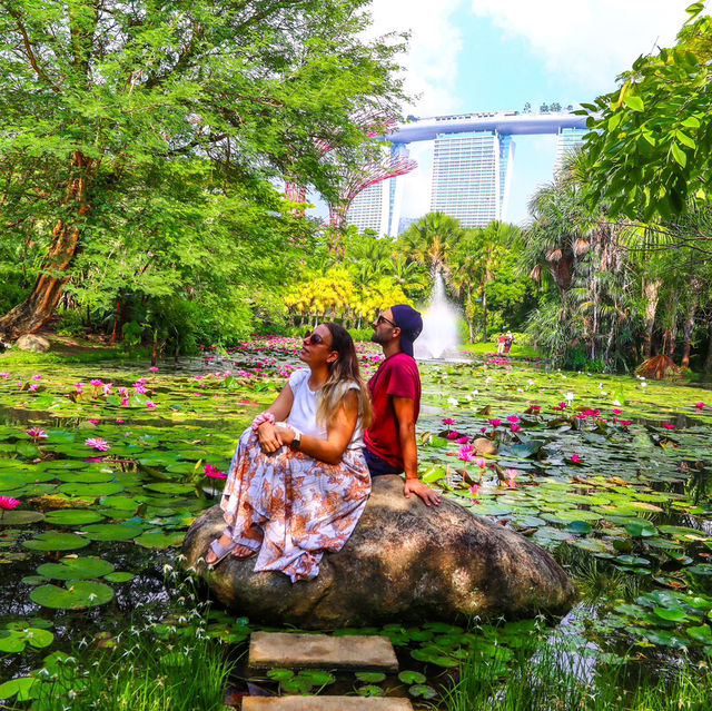 Most Instagrammable places in Singapore 🇸🇬