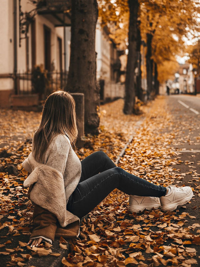 가을의 뉘른베르크 탐험 🍂