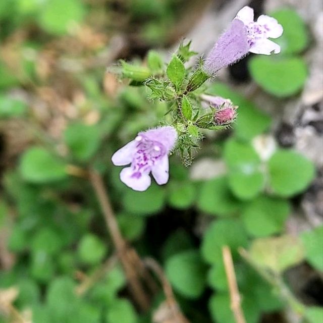 hiking in Crete