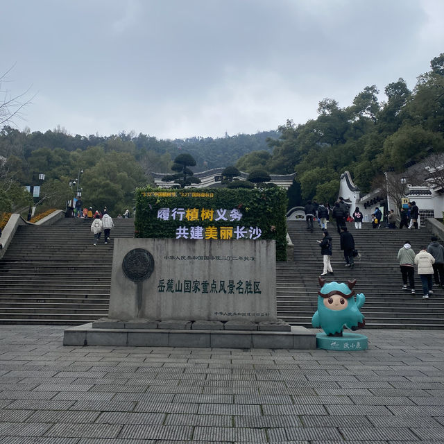 How I walked 40km in Changsha without realizing it