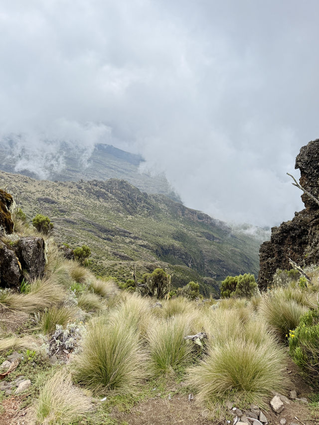 Climbing Mount Kilimanjaro – Shira Cathedral 🗻