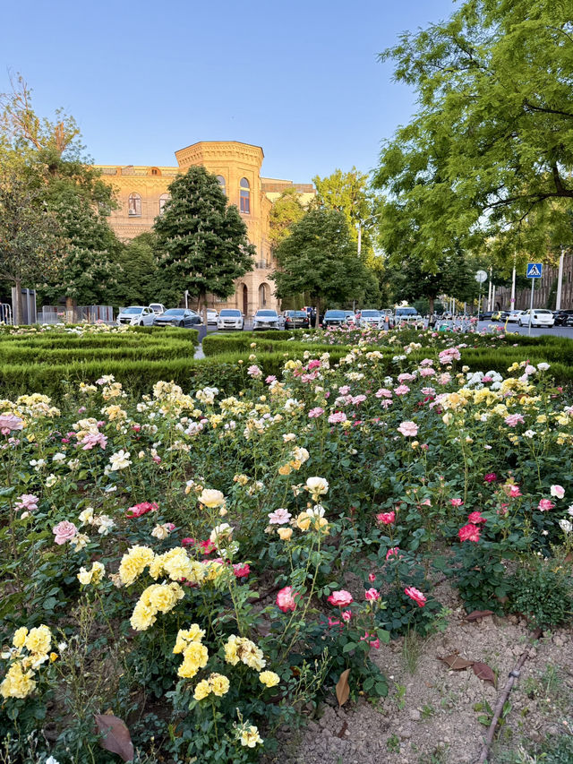 Spring Bloom at the Palace of International Forums, Tashkent