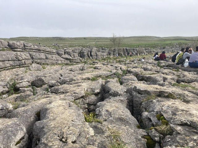 Uncovering Yorkshire’s natural beauty! 