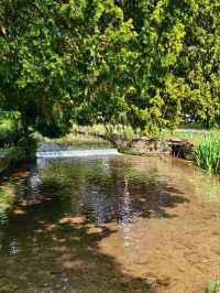 Cotswolds Day Trip