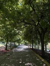 🌿 A Lush City Retreat – Perdana Botanical Garden, Kuala Lumpur