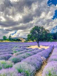 🌿 A Quiet Jewel in the Drôme – Aurel, France