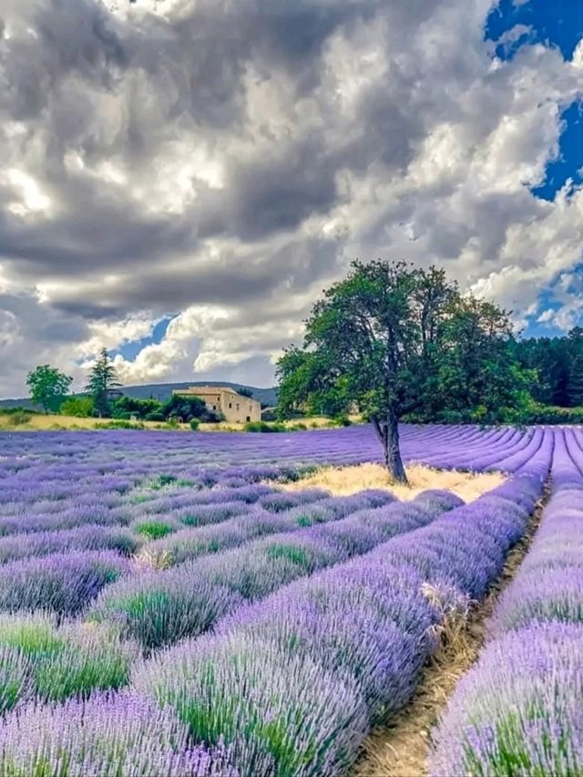 🌿 A Quiet Jewel in the Drôme – Aurel, France