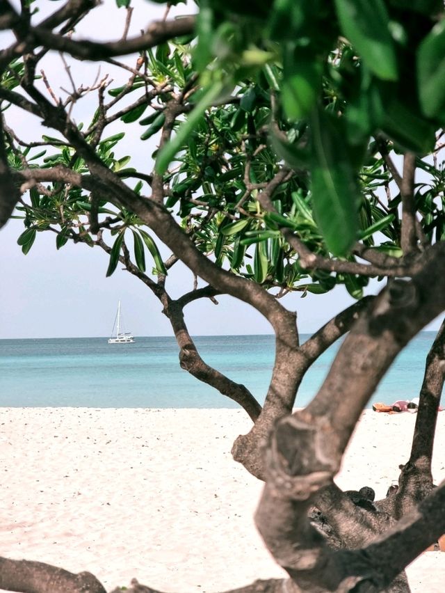 A Slice of the Maldives in Italy: The Beauty of Mondello