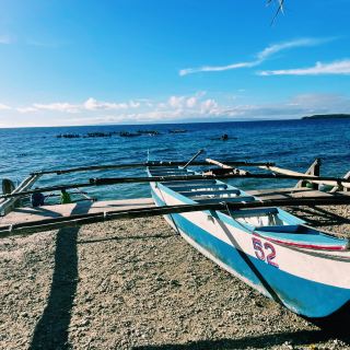 Snorkel Dreams in Cebu: Dive into an Underwater Wonderland