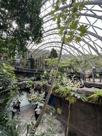 Bird World Review: A Wild Day Out in Taipei’s Animal Kingdom