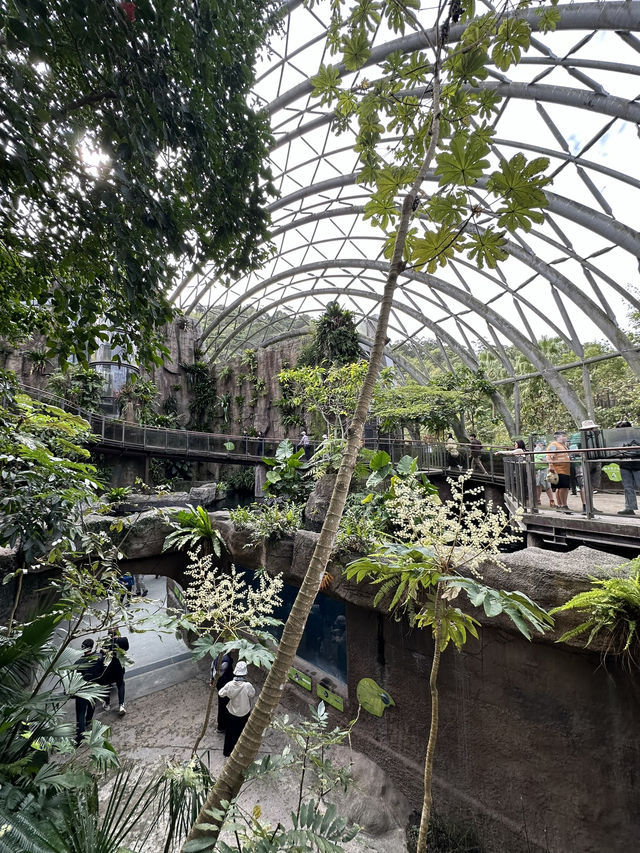 Bird World Review: A Wild Day Out in Taipei’s Animal Kingdom