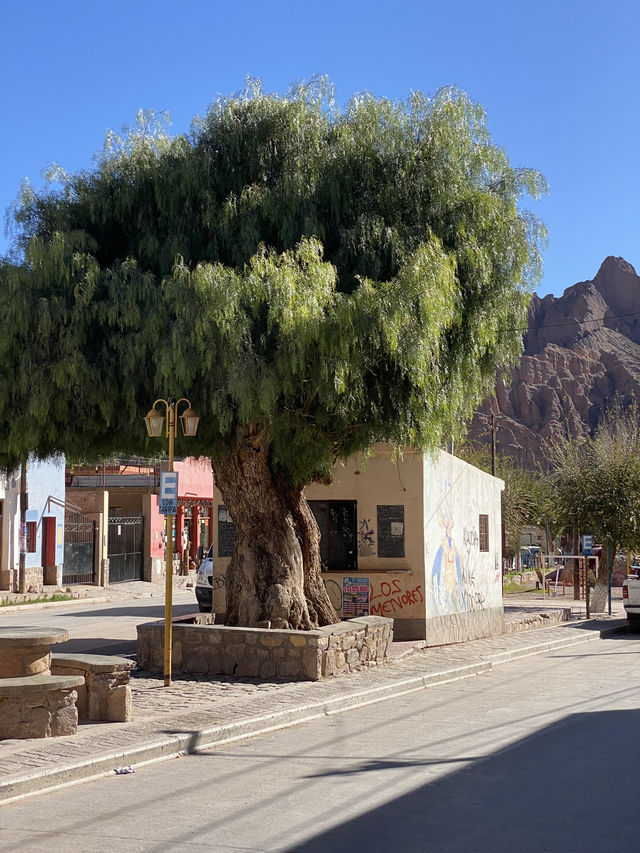 Argentina Trip: Jujuy pre colonial vibes and landscapes