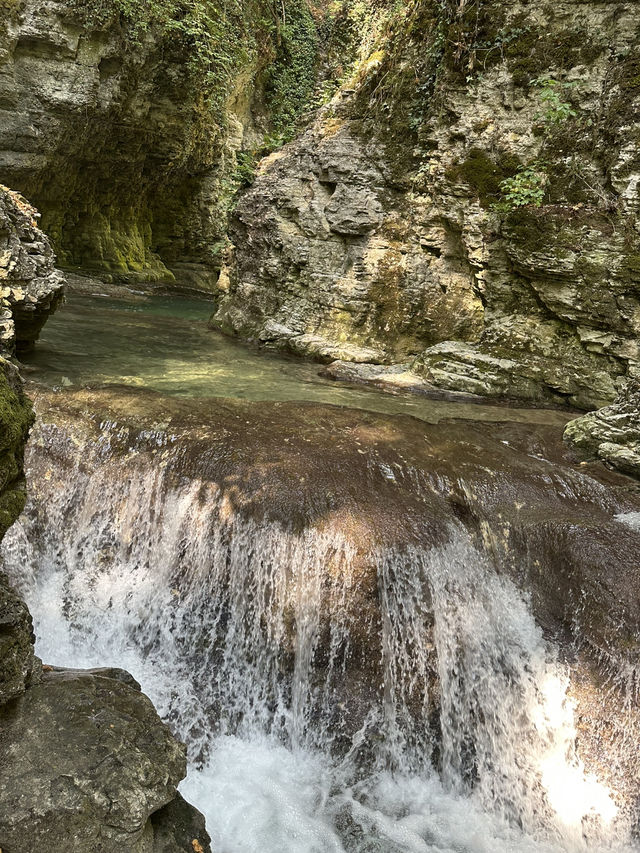Cuves Nature Escape🌲