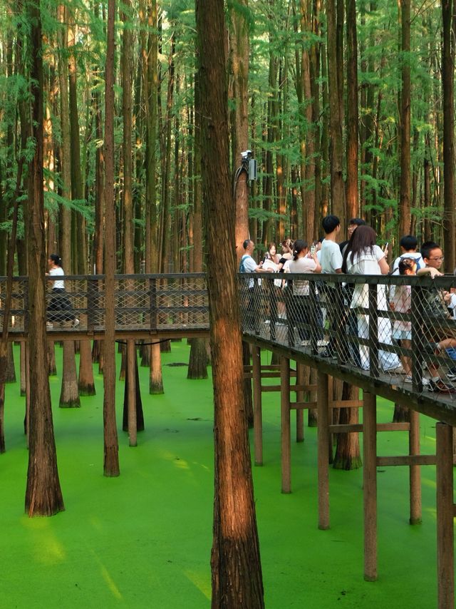 วันชาติจีน พาเที่ยวทะเลสาบชิงชาน 