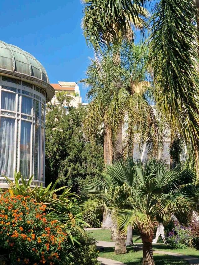 Spooky Secrets of Nice: Halloween Edition