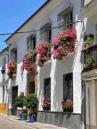 Córdoba Unveiled: Eternal Wonders and Eerie Halloween Thrills