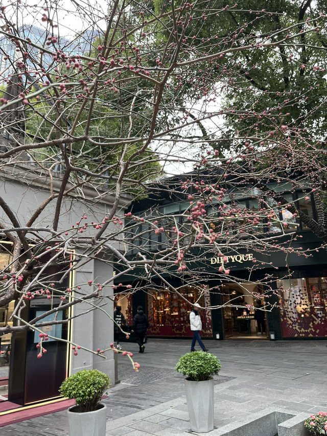 Shop Like a Local🛍️