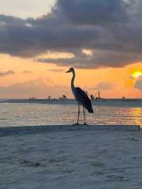 Nakai Maayafushi (Ex.Maayafushi Tourist Resort)