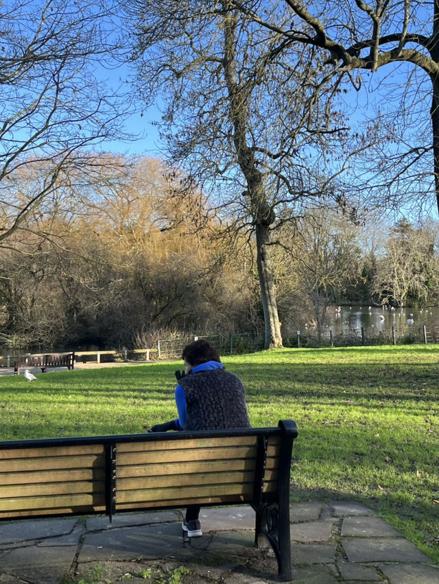 探索千年遺址秘境之旅 探索千年遺址秘境之旅