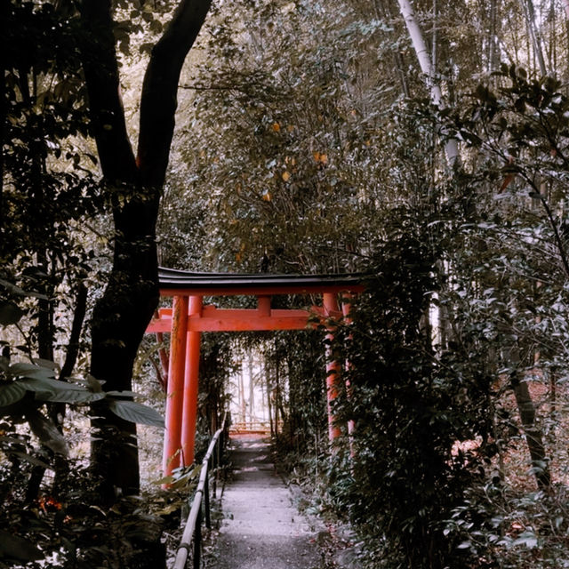 Nara: Deer, Temples & Timeless Japanese Charm 🇯🇵✨