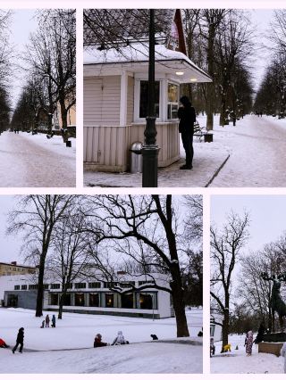 Winter Wonderland Vibes at Central Lenin Park, Vyborg ❄️🌲